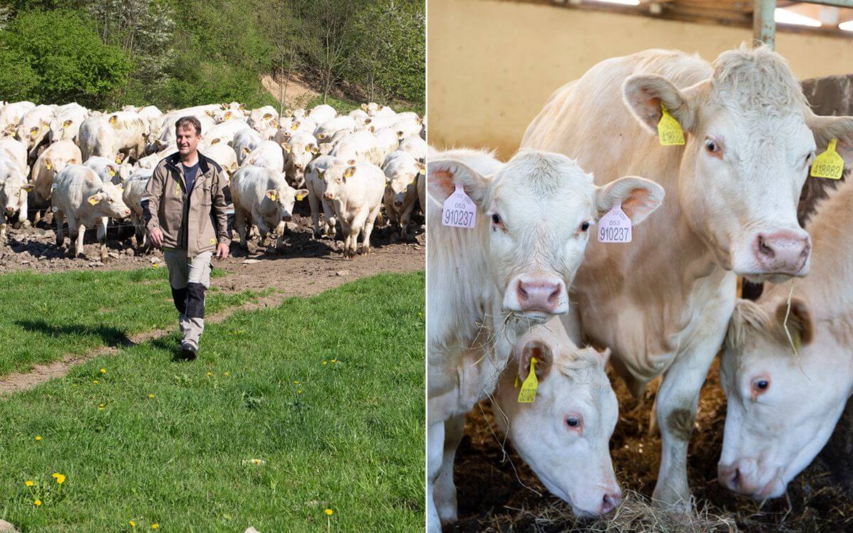 Agricultural Cooparetive Vlkov under the supervision of Smart Farm