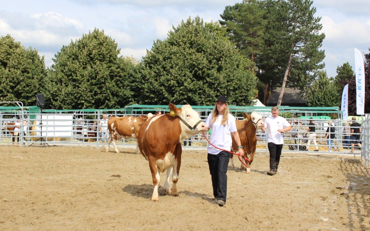 How have we been at Živitelka? And what has the largest International Agrosalon brought?