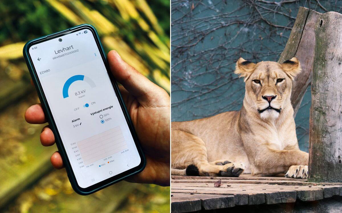 Installation of Smart Farm fencee Cloud in Olomouc Zoo