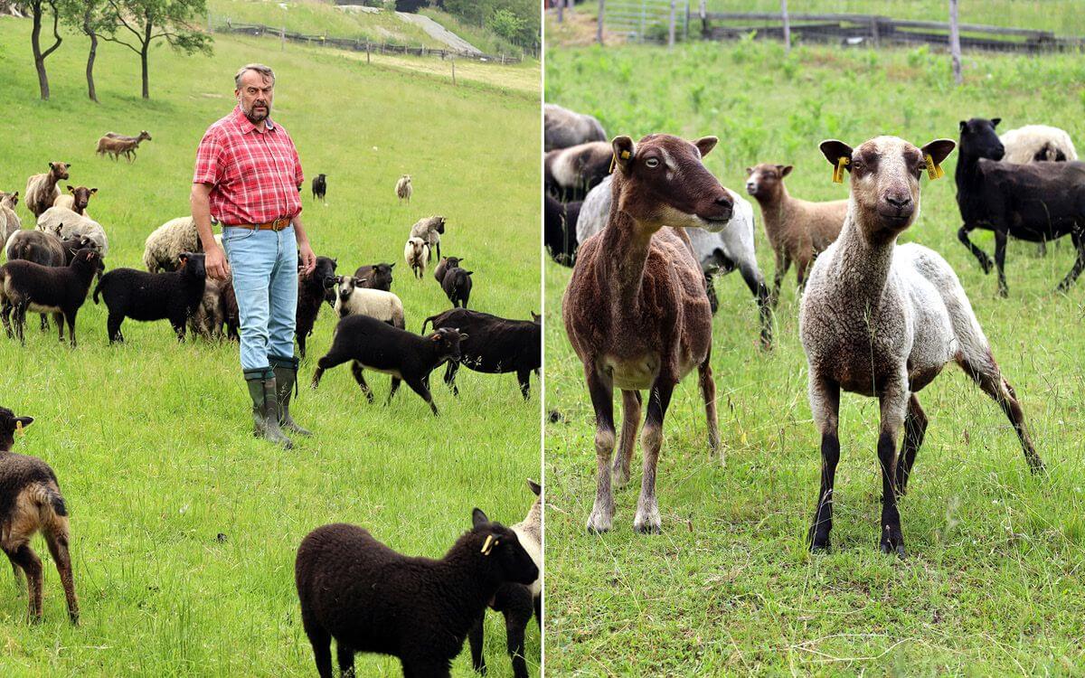 Mr. Cieslar's truly amazing helper - Smart Farm