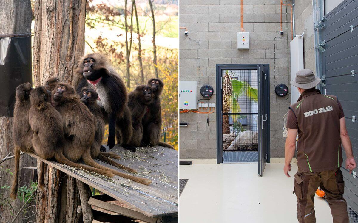 Smart Farm in Zoo Zlín II.: System in operation