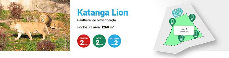Katanga lion enclosure Zoo Zlín - Secured by Modern Smart Farm fencee Cloud system