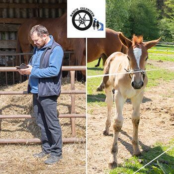 Smart Farm makes everyday life easier at Coldriver Ranch
