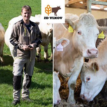 Agricultural Cooparetive Vlkov under the supervision of Smart Farm