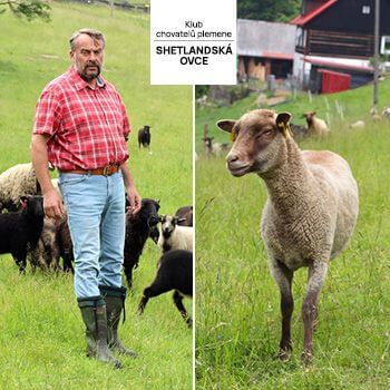 Mr. Cieslar's truly amazing helper - Smart Farm fencee