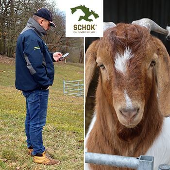 Use of smart electric fencing in the Sheep and Goat Farmers Association - Smart Farm fencee