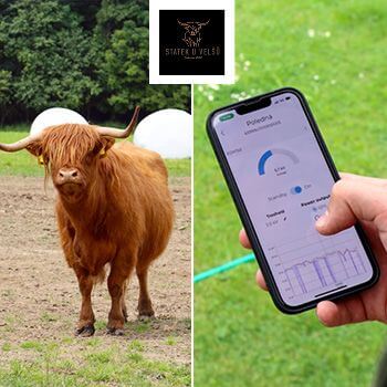 Smart Farm fencee Cloud at Highland Vels Farm