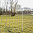 Blue net for electric fence against wolves, height 145 cm, length 50 m, double tip
