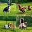 Camping set with mobile universal net and goal, height 90 cm