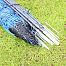Electric fence kit against wolves - blue net 120 cm + Smart LTE energizer 8 J