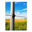 Electric fence post, recycled plastic - 6 × 175 cm