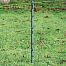 Electric fence kit against pests, marten, otter, heron, beaver, cat  - DUO energizer - polywire 100 m