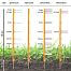 Electric fence set for dogs, ponies and pests - DUO energizer + polywire250 m