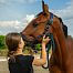 Smart GPS Tracker for horses fencee EquiGPS Track