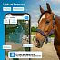 Smart GPS Tracker for horses fencee EquiGPS Track