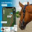 Smart GPS Tracker for horses fencee EquiGPS Track