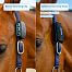 Smart GPS Tracker for horses fencee EquiGPS Track