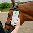 Smart GPS Tracker for horses fencee EquiGPS Track