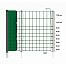 Green electric fence net STANDARD for dogs, rabbits, cats, height 65 cm, 50 m, 1 spike