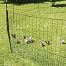 Non-conductive green fencing net with gate, 24 m, 112 cm