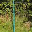 Plastic post for electric fence, length 156 cm, 11 eyelets, blue
