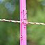 Plastic post for electric fence, length 156 cm, 11 eyelets, pink