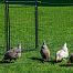 Set with electric fence net for sheep, goats - entrance gate 110 cm + energizer