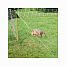 Set of electric fence for poultry - protection against fox, marten, cat - DUO energizer + net 50 m, 112 cm