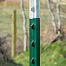 Steel T-post for electric fence 152 cm