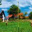 Yellow electric fence net for sheep, height 105 cm, length 50 m, 1 spike