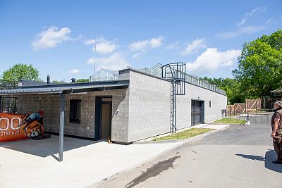 Building with indoor facilities for jaguars