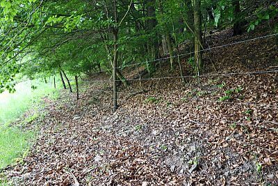 Electric fence against wolves according to AOPK standard