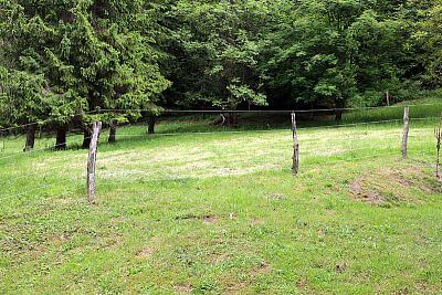 Electric fence against wolves according to AOPK standard