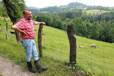 Electric fence for sheeps