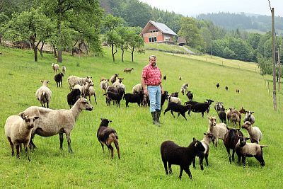 Farmer with his sheep