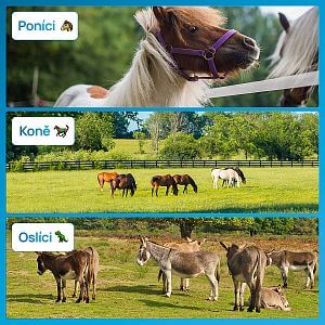 Functions and benefits of EquiGPS Track