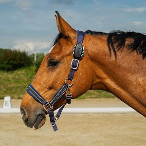 Functions and benefits of EquiGPS Track