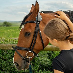 Functions and benefits of EquiGPS Track