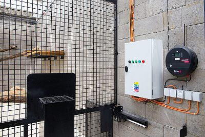 Inside the Jaguar Background