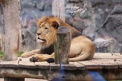 Installation of Smart Farm fencee Cloud in Olomouc Zoo