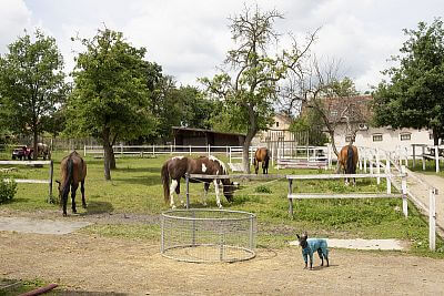 Modern Smart Farm system at Zdeňka Pohlreich's ranch