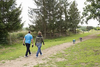 Modern Smart Farm system at Zdeňka Pohlreich's ranch