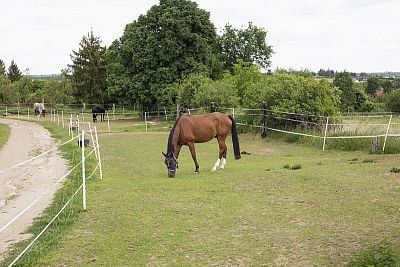 Modern Smart Farm system at Zdeňka Pohlreich's ranch