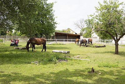 Modern Smart Farm system at Zdeňka Pohlreich's ranch