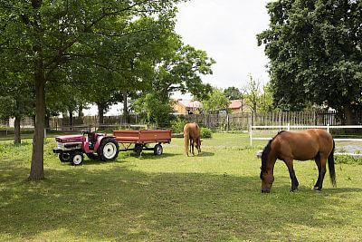 Modern Smart Farm system at Zdeňka Pohlreich's ranch