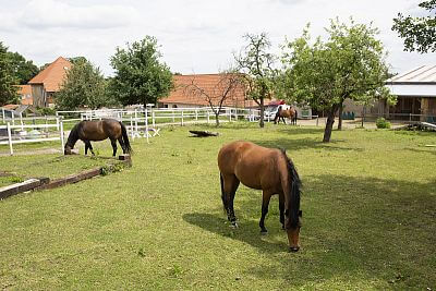 Modern Smart Farm system at Zdeňka Pohlreich's ranch