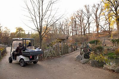 Preparations for the installation of a Modern Smart Farm fencee Cloud in the Zlín Zoo