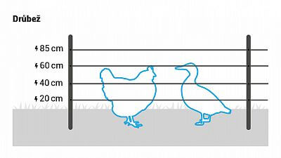 Recommended wire heights