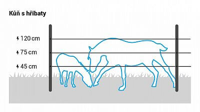 Recommended wire heights