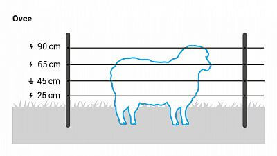 Recommended wire heights
